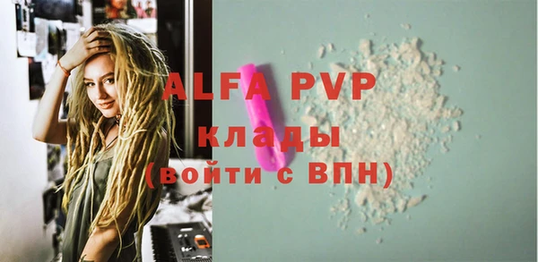 твердый Козельск