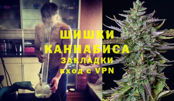 твердый Козельск