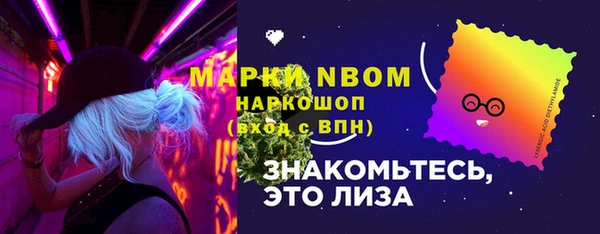 твердый Козельск