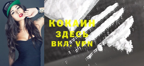 твердый Козельск