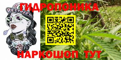 каннабис Дубна