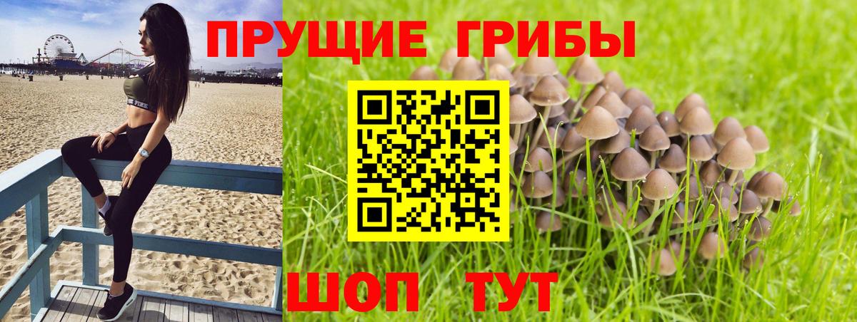 Галлюциногенные грибы мицелий Курган