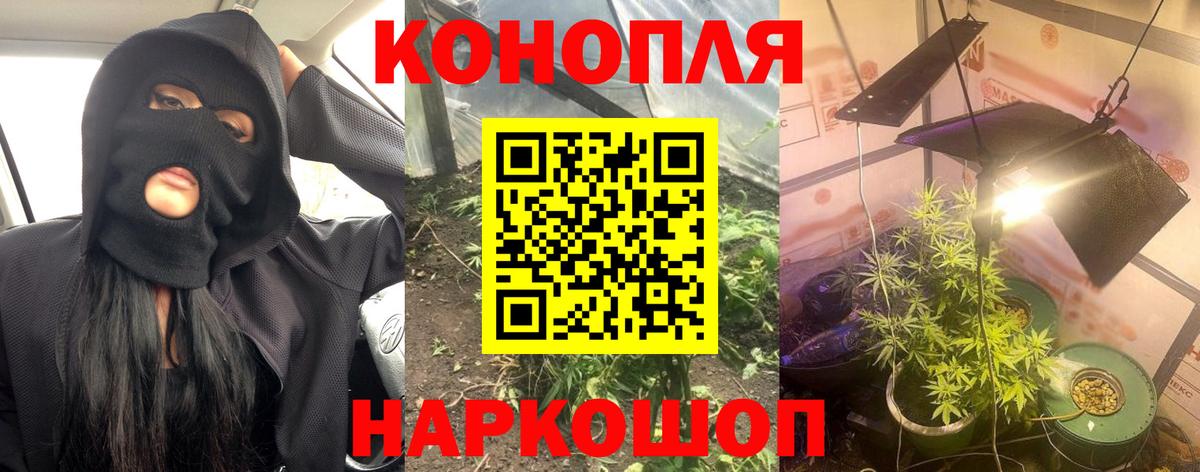 Марихуана план Курган